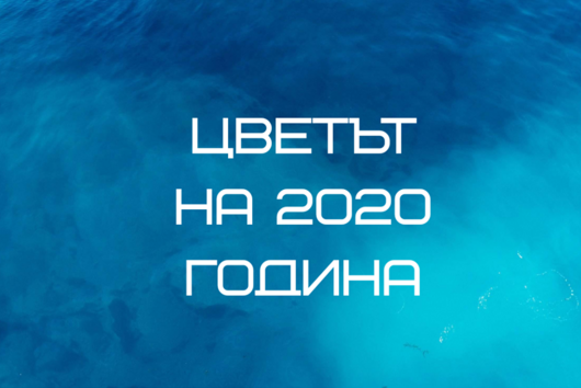 Цветът на 2020 година 