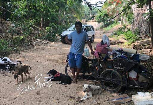 Мъж спасява 500 кучета и им осигурява нов дом