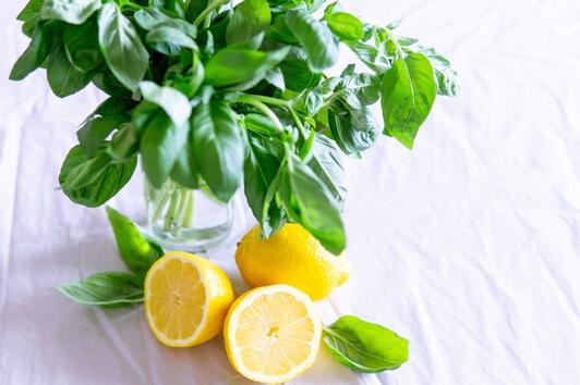 Правилният начин за съхранение на лимони, за да останат свежи по-дълго