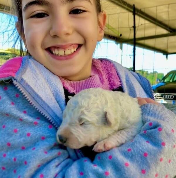 Запознайте се с Пистачио, зеленото кученце, което се роди в Италия преди няколко седмици 