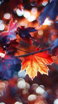 Есенни гледки, спиращи дъха