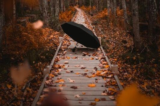 <p>Есента е нашият любим сезон. Пъстротата му често ни оставя без думи, а днес ще ви дадем възможност и вие да се насладите на тези незабравими есенни пейзажи!</p>
