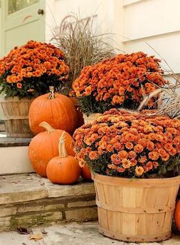 Невероятни декорации с тикви