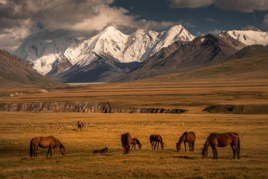 Киргизстан - скритото съкровище на Азия