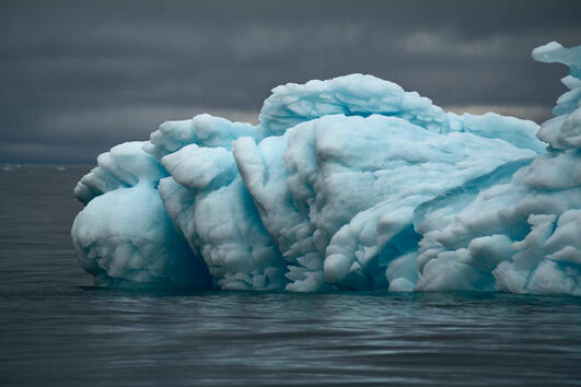 Величествените айсберги на Гренландия