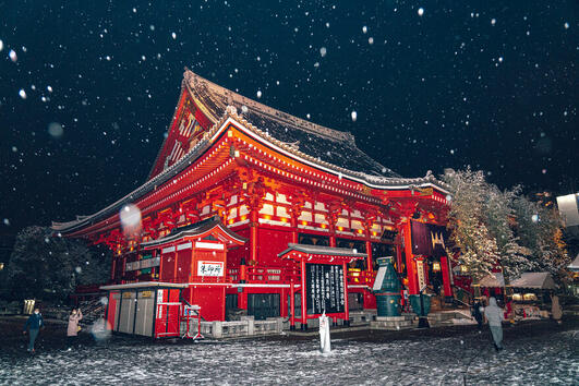 Красотата на зимен Токио