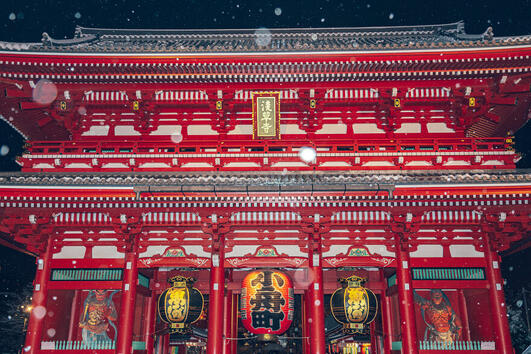 Красотата на зимен Токио