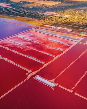 Розовата лагуна в Западна Австралия