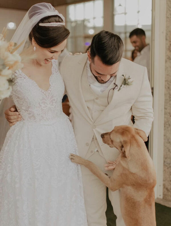 Това куче "нахлува" на сватба и си намира семейство 
