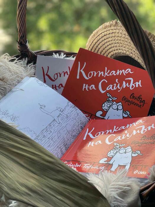 Лесно ли е да се грижиш за котка?