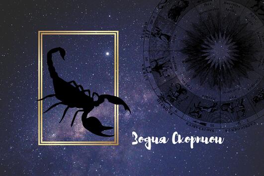 7 отличителни знака на зодия Скорпион