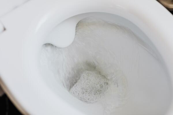 Влажна или обикновена тоалетна хартия- кой е по-добрият вариант?