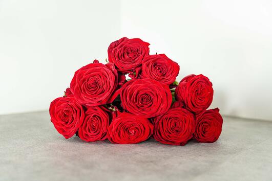 10 романтични факта за червените рози 