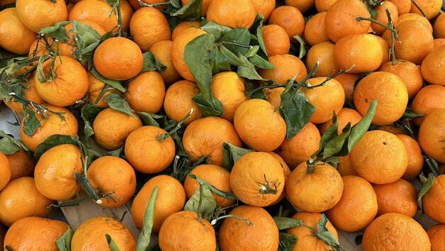 Интересни факти за мандарините + полезните им свойства