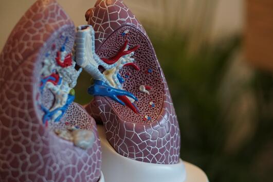 5 навика за силни и здрави бели дробове