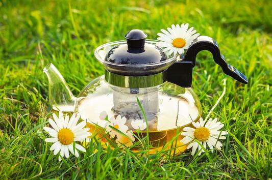 8 ползи от чая от лайка за вашето тяло и ум