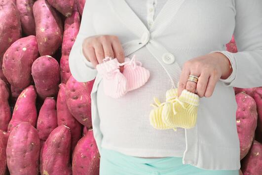 Сладкият картоф увеличава шанса да забременеете с близнаци?