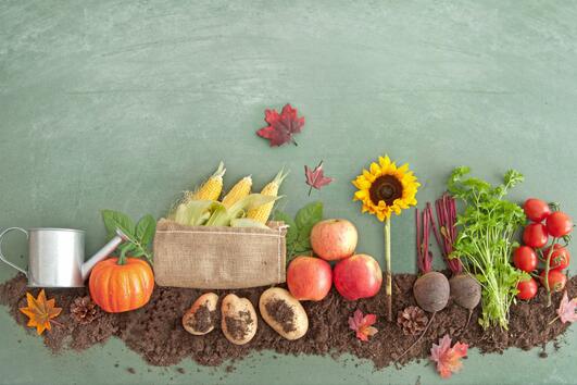 Кои плодове и зеленчуци са в сезон през октомври