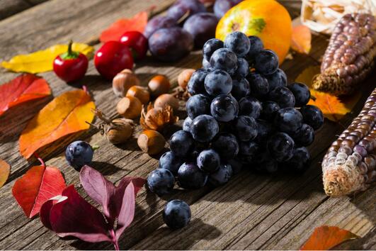Кои плодове и зеленчуци са в сезон през ноември?