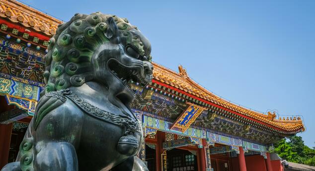 Китай: Какъв ще е ефектът от Годината на дракона?
