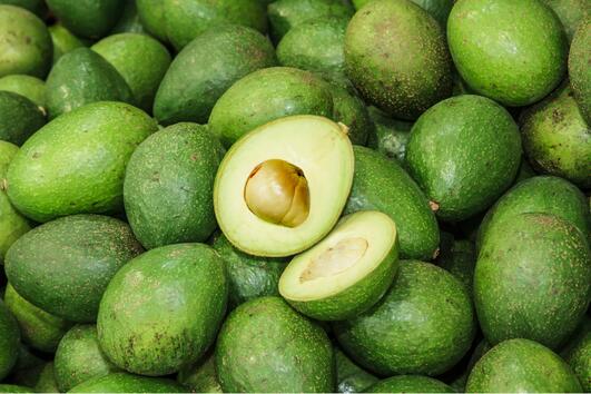 За какво е ползено авокадото? + рецепти