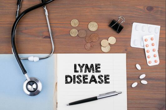 Етo ги симптомите на лаймската болест
