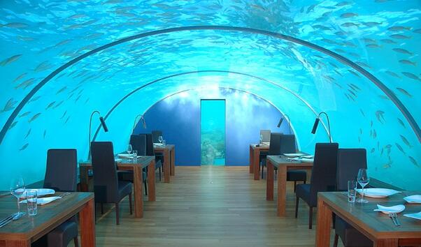 Първият подводен ресторант в света се казва Ithaa. Той е част от веригата Hilton и се намира на Малдивите. Това уникално място предлага на гостите си да се хранят под водата, наблюдавайки чудния морски свят отблизо. 
