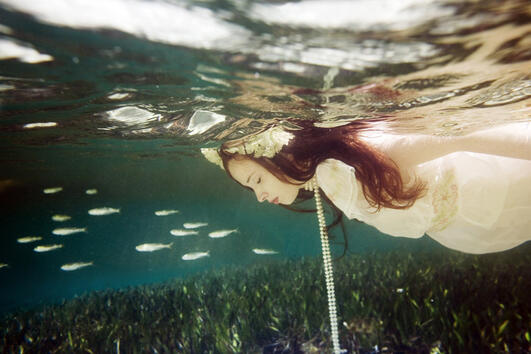 Подводното царство на фотографията