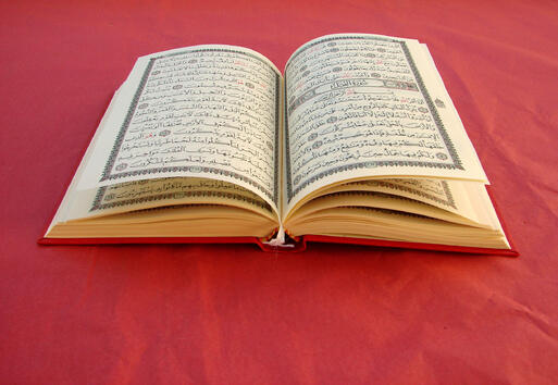 Програмата на фестивала "Цветята на Корана" включва...