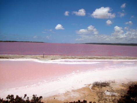 Езеро в розово