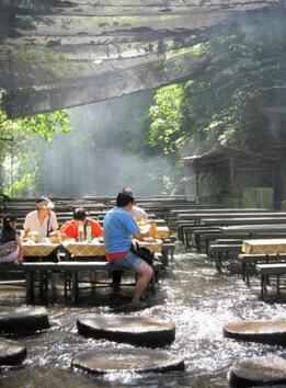 Ресторант във водопада