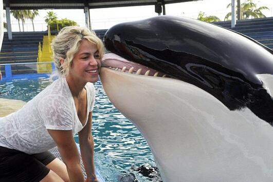 Шакира се целува с косатка