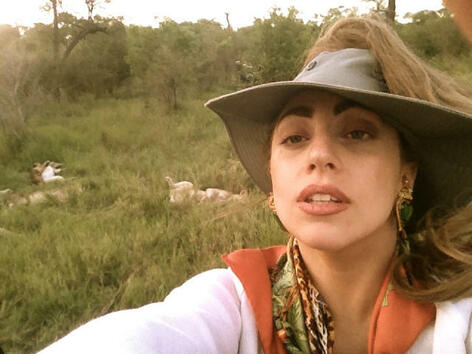 Лейди Гага е на сафари в Африка