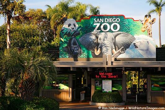 Най-хубавите зоопаркове са в САЩ