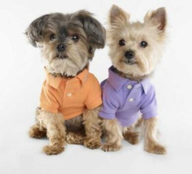 Мода за малки кученца от Ralph Lauren